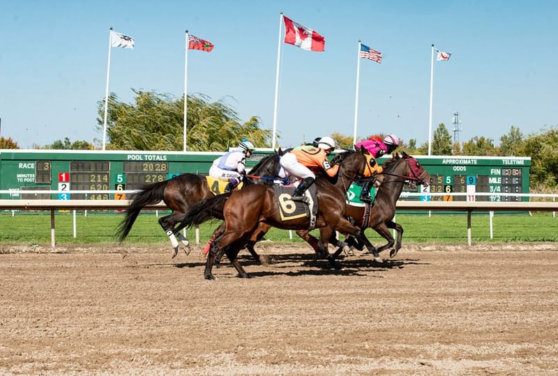 Matched Betting Football vs Horse Racing UK 2026