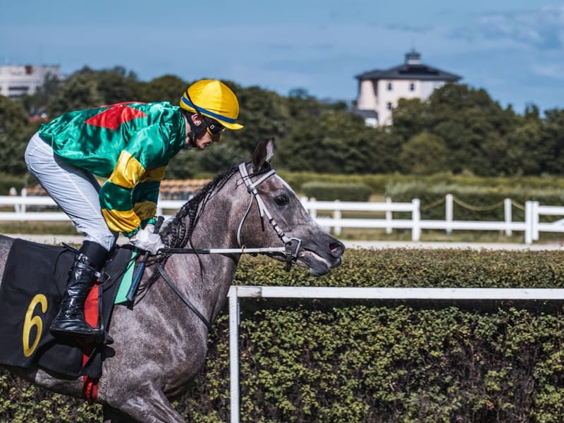 Horse Racing Matched Betting: 2026 Guide to BOG & Refunds