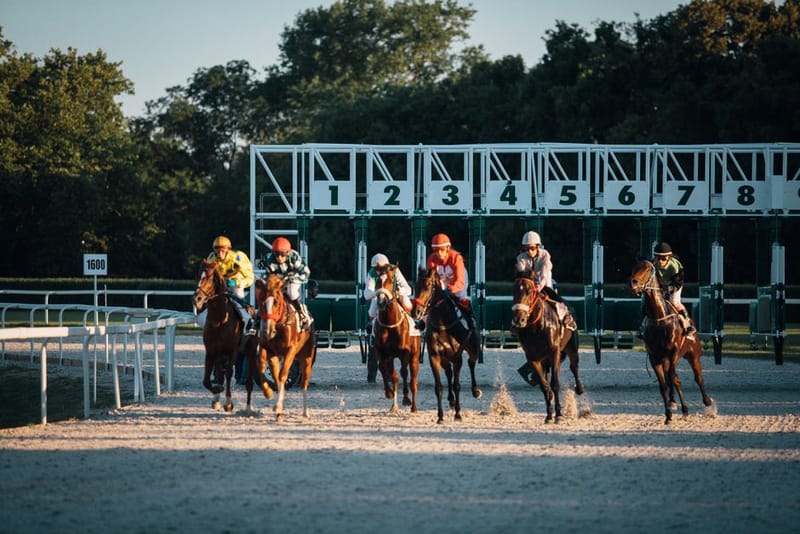 Horse racing matched betting